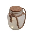 lighted-snowfkales-jar-with-rope-random-color-3.jpg