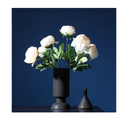 modern-ceramic-vase-br058-b_1.png