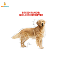 royal_canin_bhn_golden_retriever_dog_food_3kg-2.png