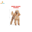royal_canin_bhn_poodle_dog_food_1.5kg-2.png