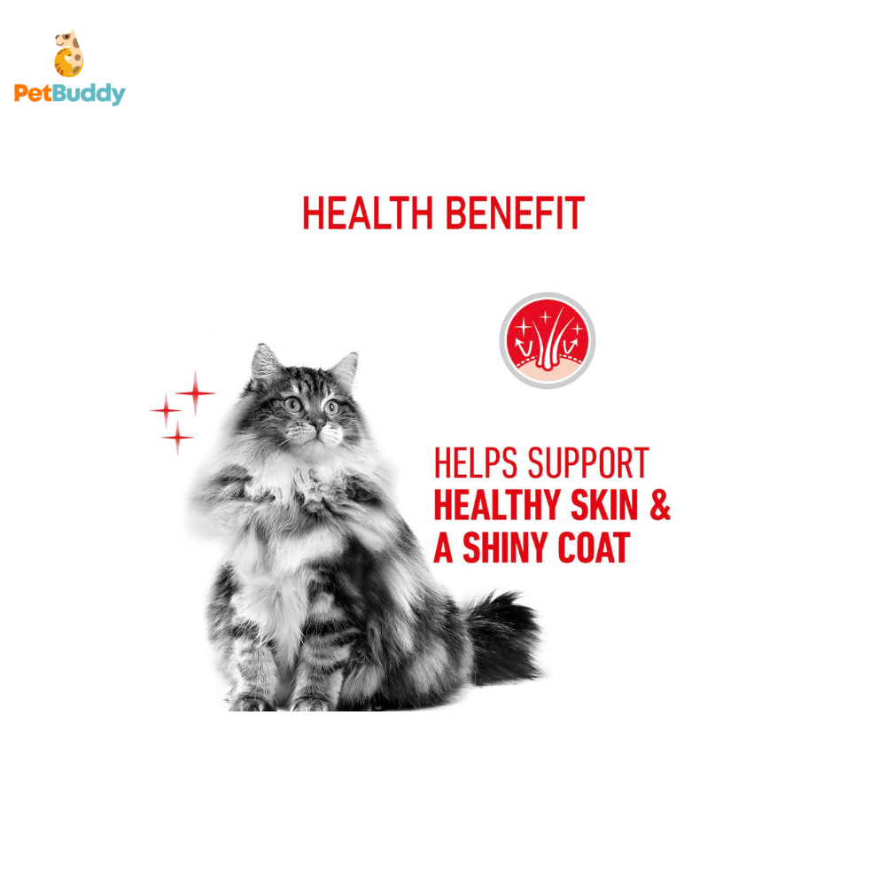 royal_canin_fcn_hair_skin_cat_food_2kg-2.png