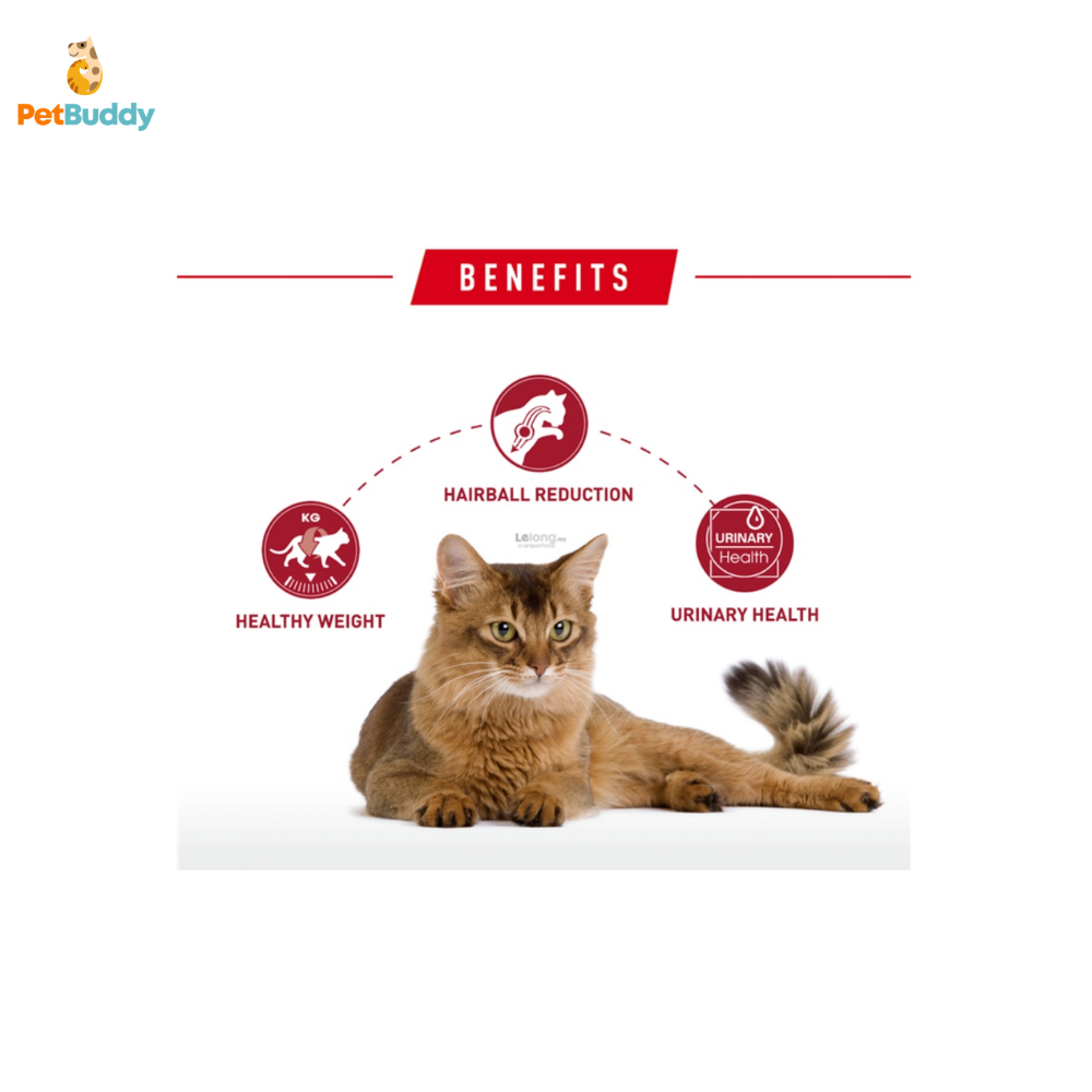 royal_canin_fhn_fit_32_cat_food_2kg-2.png
