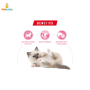 royal_canin_fhn_kitten_instinctive_cat_wet_85g-2.png