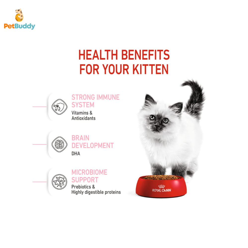 royal_canin_fhn_kitten_36_cat_food_2kg-2.png