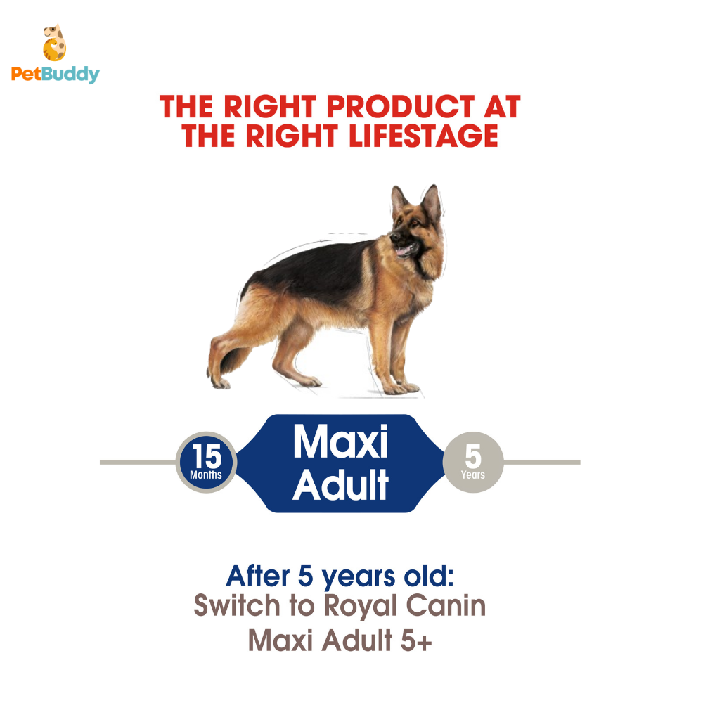royal_canin_shn_maxi_adult_dog_food_4kg-2.png