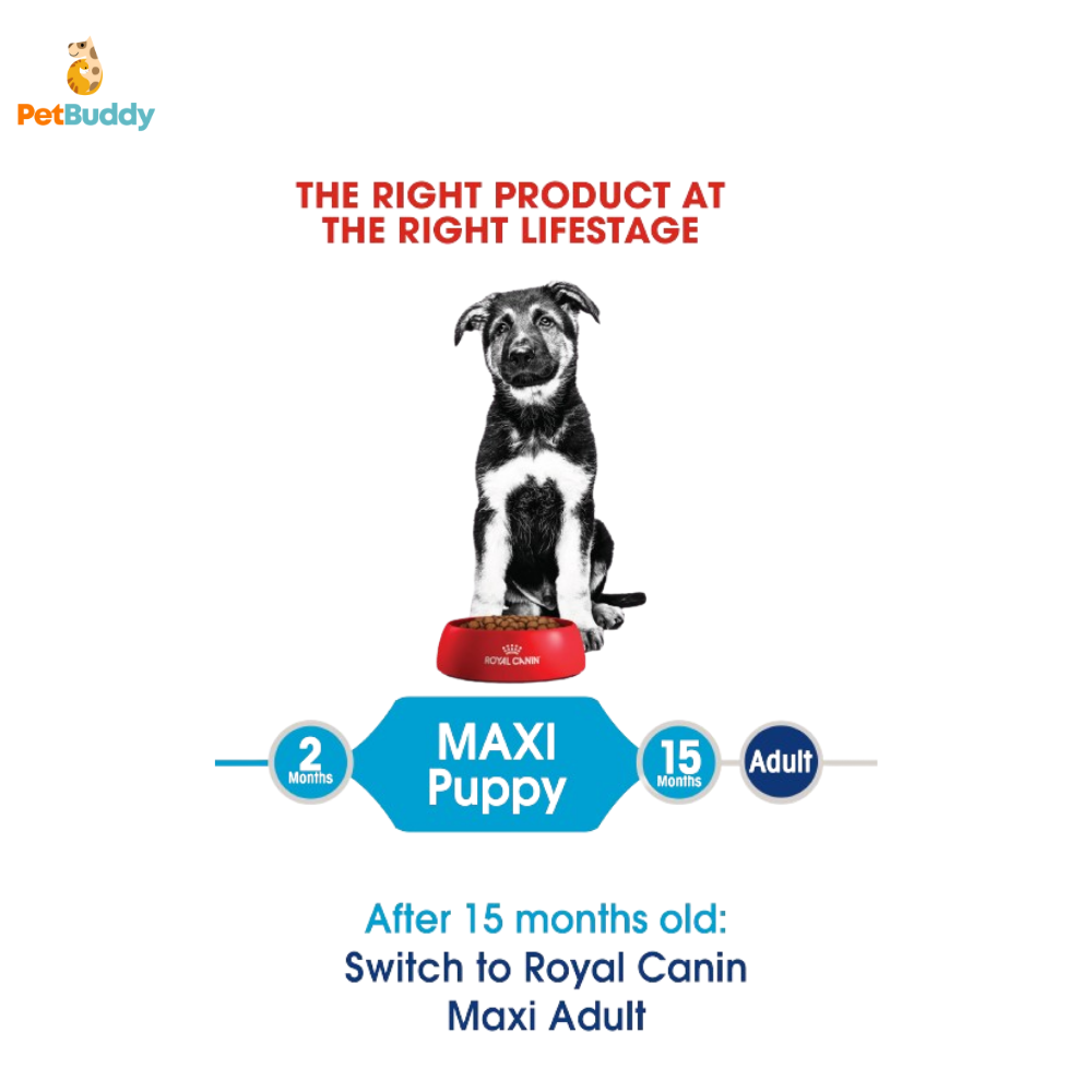 royal_canin_shn_maxi_junior_puppy_dog_food_4kg-2.png