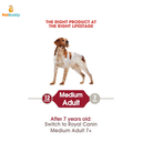 royal_canin_shn_medium_adult_dog_food_4kg-2.png