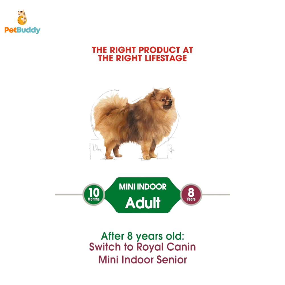royal_canin_shn_mini_indoor_adult_dog_food_1.5kg-2.png