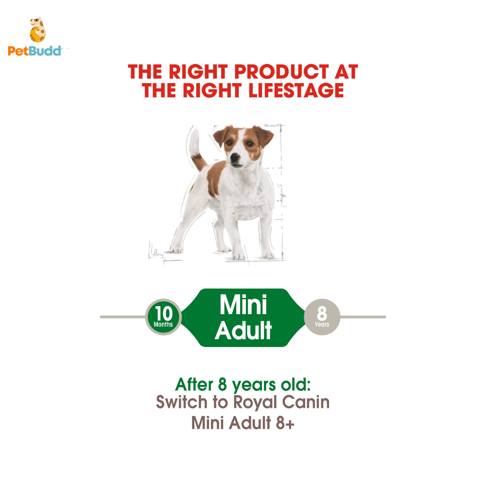 royal_canin_shn_mini_adult_2kg-2.png