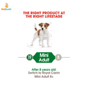 royal_canin_shn_mini_adult_2kg-2.png