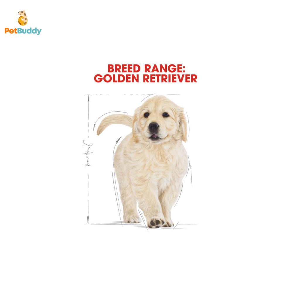 royal_canin_bhn_golden_retriever_jr_dog_food_3kg-2.png