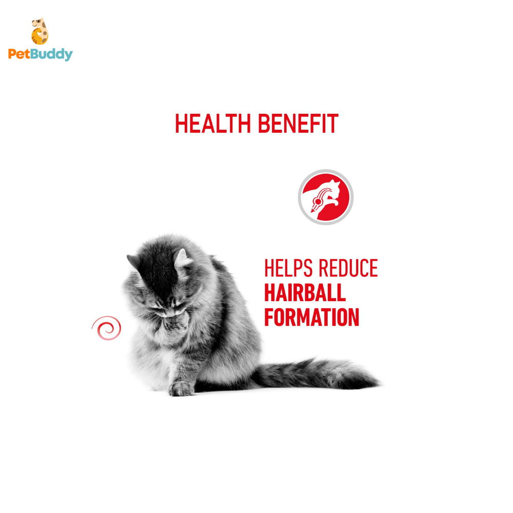 royal_canin_fcn_hairball_care_cat_food_2kg-2.png