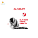royal_canin_fcn_hairball_care_cat_food_2kg-2.png