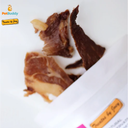 tbj_pork_jerky_natural_treats_25g-2.png