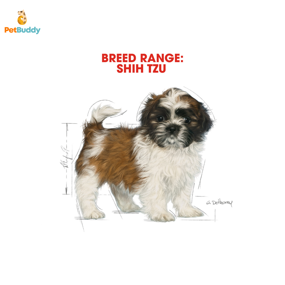 royal_canin_bhn_shih_tzu_junior_dog_food-14-02_1.png