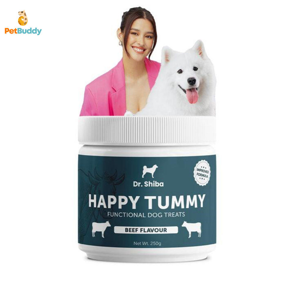 dr.shiba_happy_tummy_treats-3.png