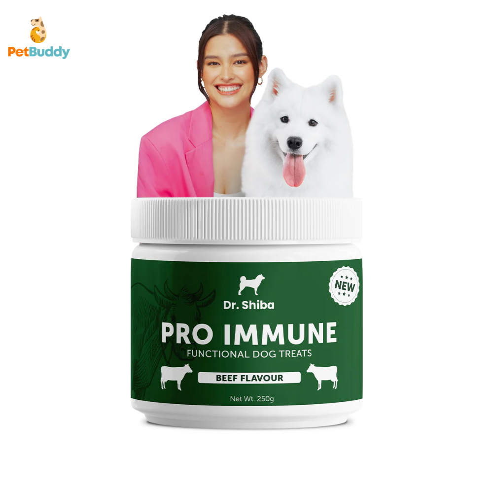dr.shiba_pro_immune_treats-2_1.png