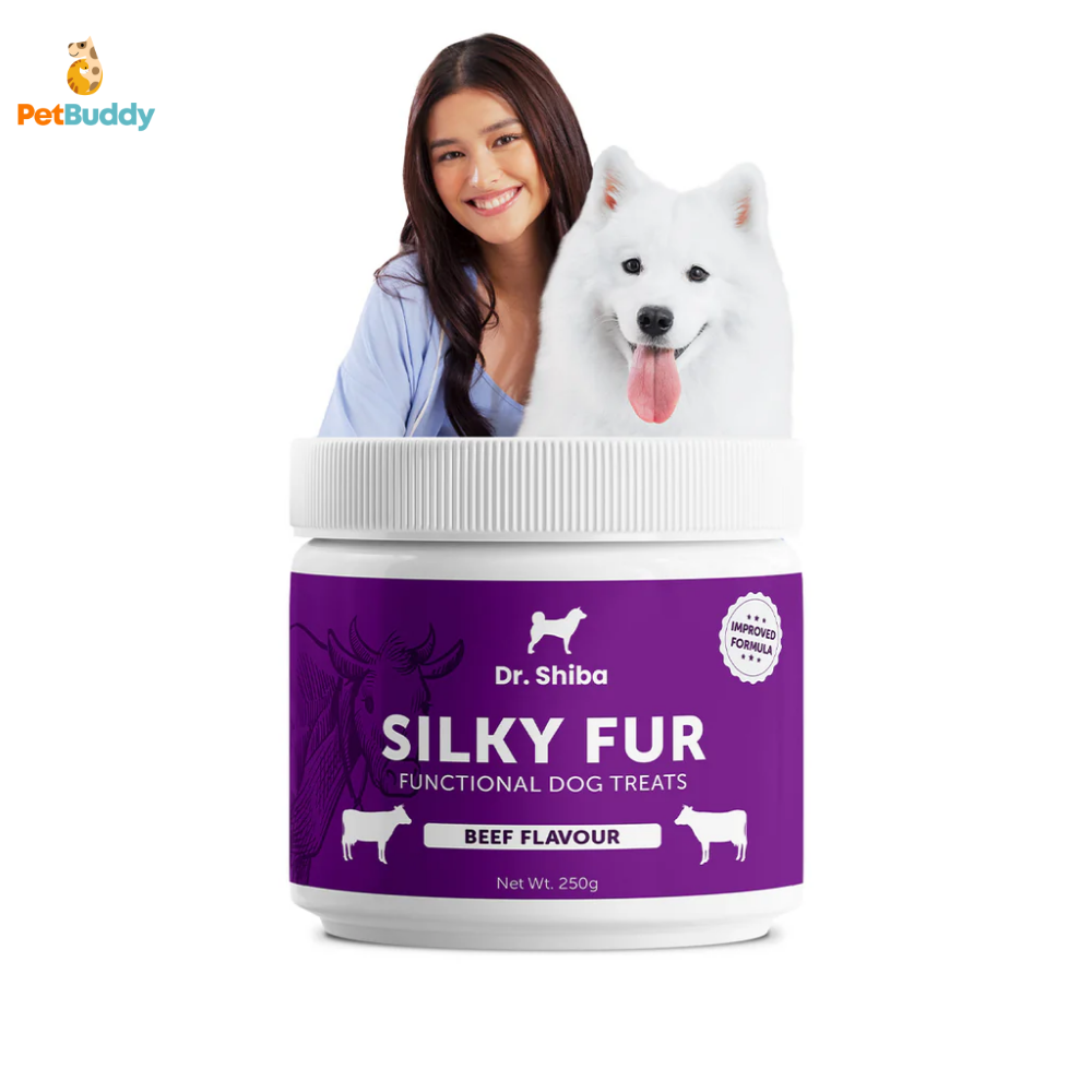 dr.shiba_silky_fur_treats-3.png