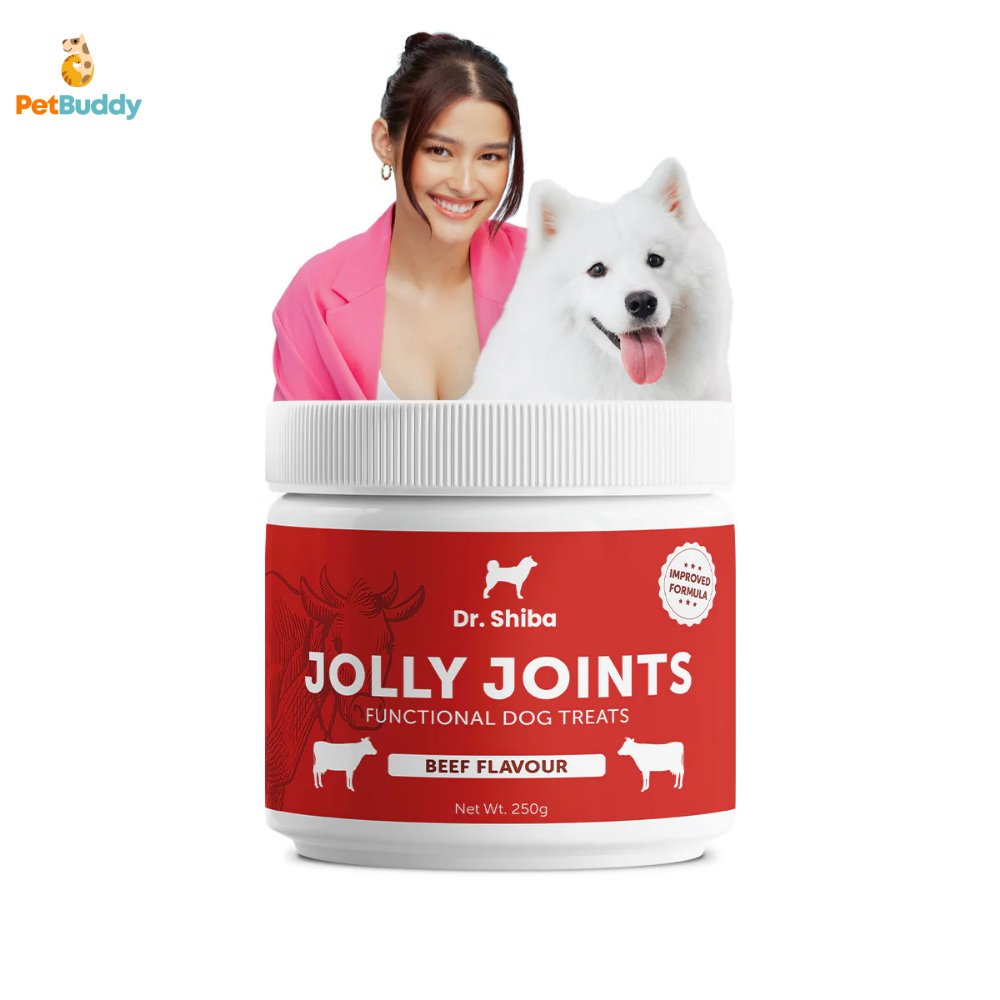 dr.shiba_jolly_joints_treats-2.png