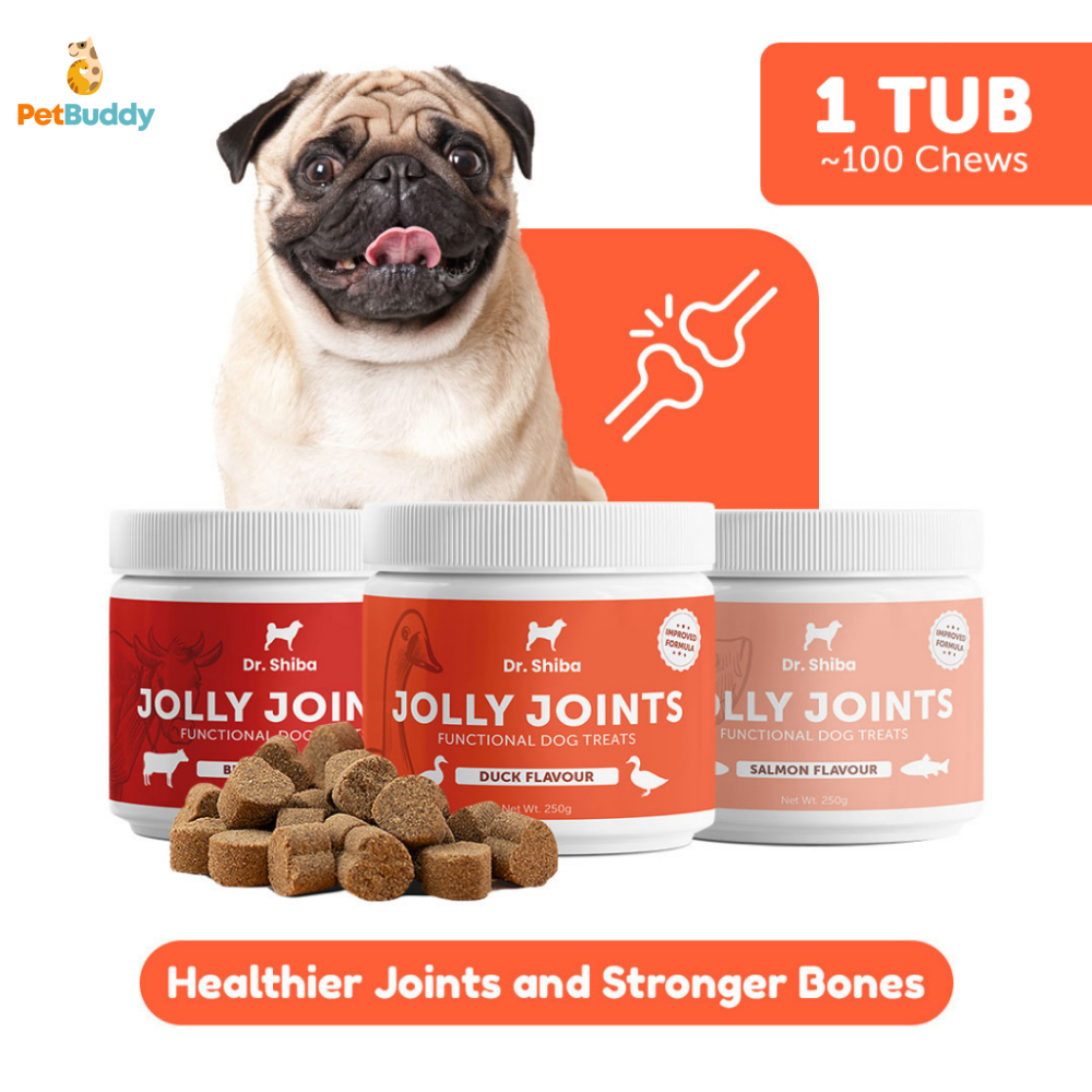 dr.shiba_jolly_joints_treats-3.png