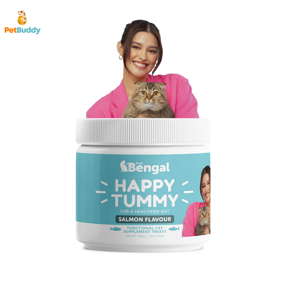 prof_bengal_happy_tummy_treats_salmon_150g-3.png