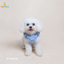 porta_walk_set_bag_leash_periwinkle_3__5.png