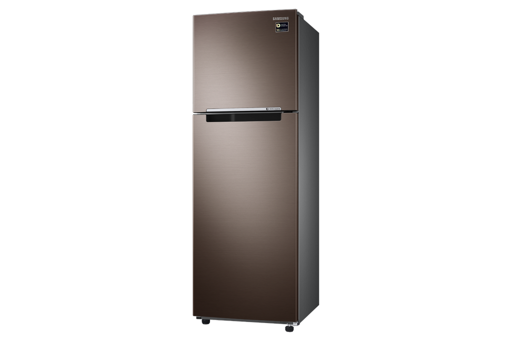 samsung-rt25m4033dxttc-2-door-refrigerator-tmnf-9.1cuft_3.png