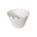 plastic-pot-flower-plant-container-crown-design-3_1.jpg