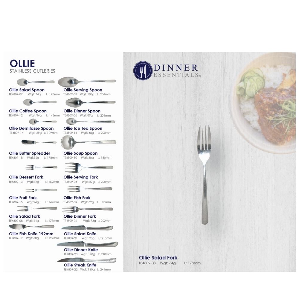 Dinner Essential Ollie salad fork 178mm