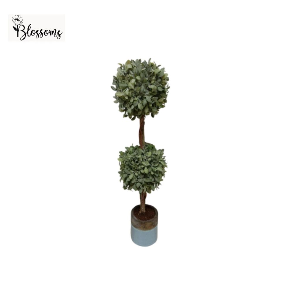 45cm 2 Ball Topiary Plant in Pot