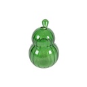 Glass Cactus Vase Design DG537