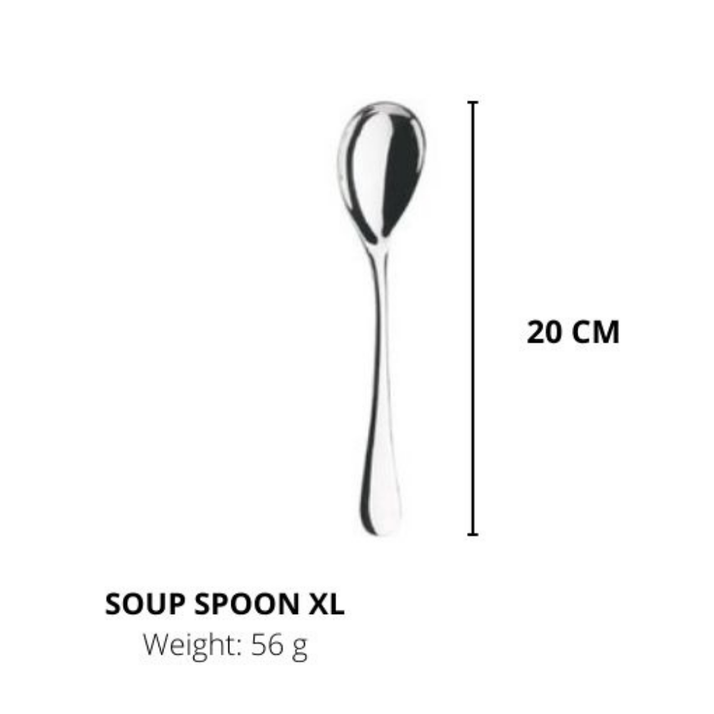 Lianyu Stainless Steel Spoons, Durable Metal Spoons,Table Spoon,Silverware Spoon 20CM