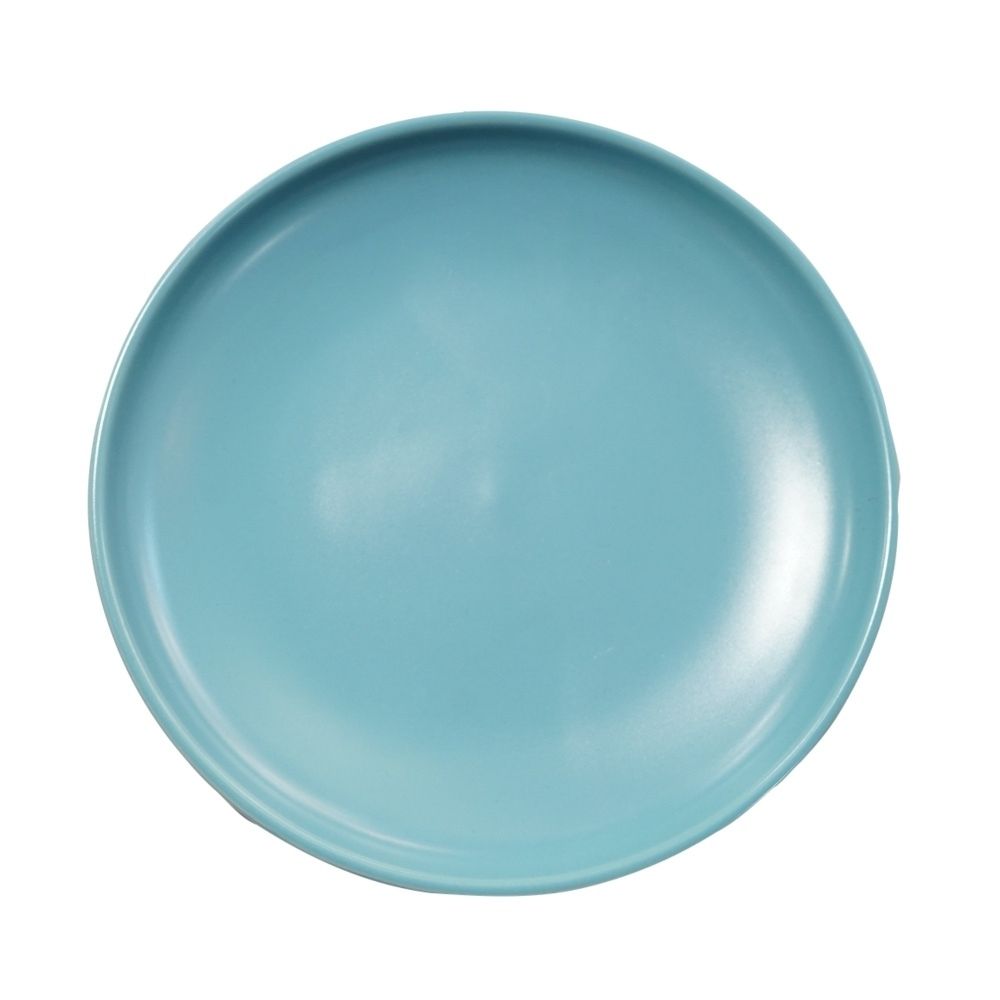 Round Minimalist Nordic Dish Meal Plate 10in