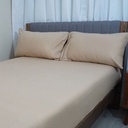 HOMETHREADS 3 Piece Set Bedsheet Beige With Multiple Size Variations