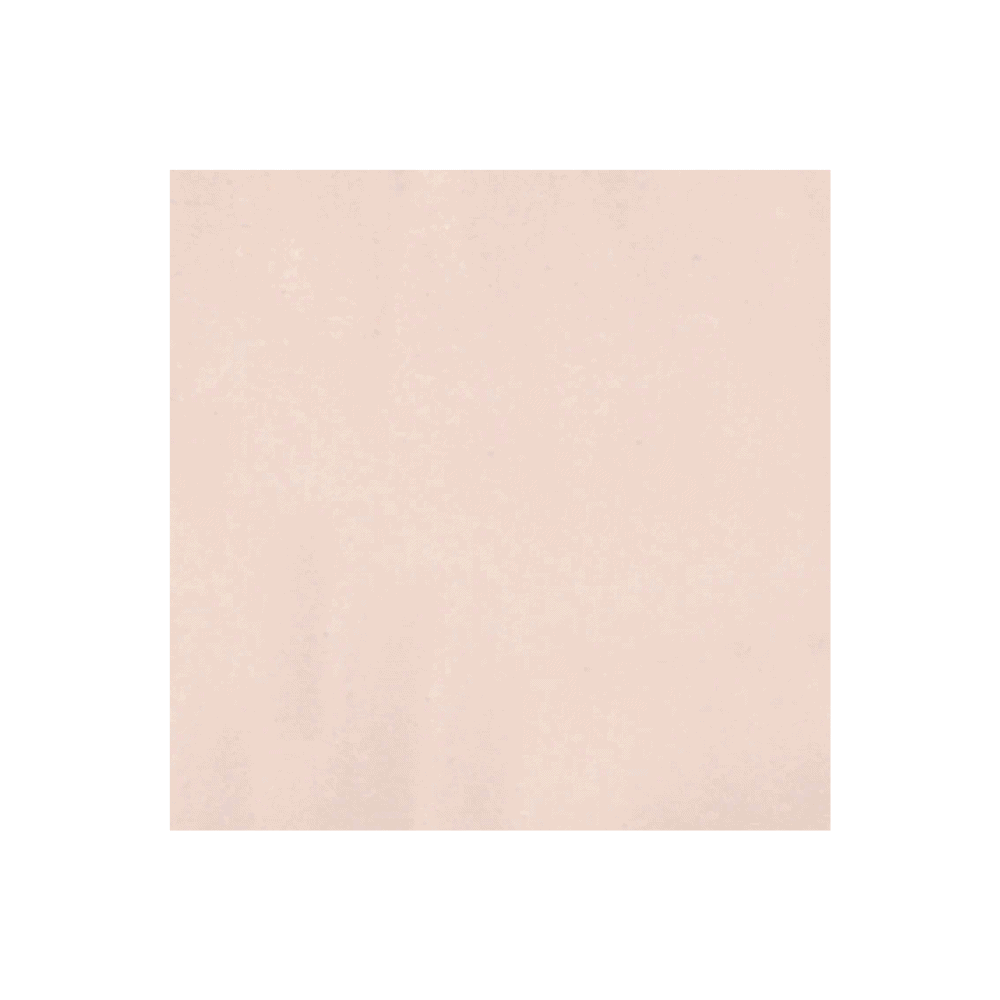 APO Avqt1.3Mmx30Cm/60S Mushroom