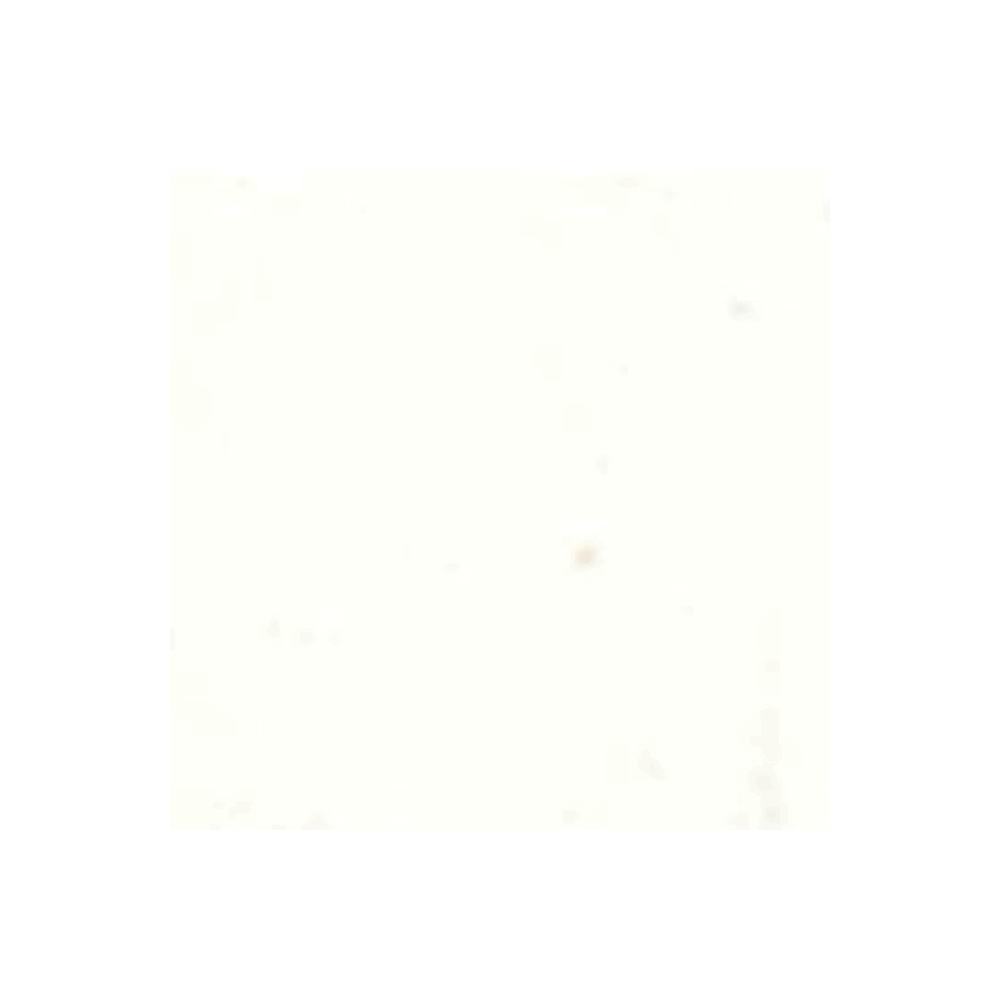 APO Avqt 1.3Mmx30 CM /60S White 300mm x 300mm Tile