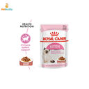 ROYAL CANIN FHN KITTEN INSTINCTIVE CAT WET 85G