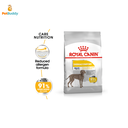 ROYAL CANIN CCN DERMACOMFORT MAXI DOG FOOD 3KG