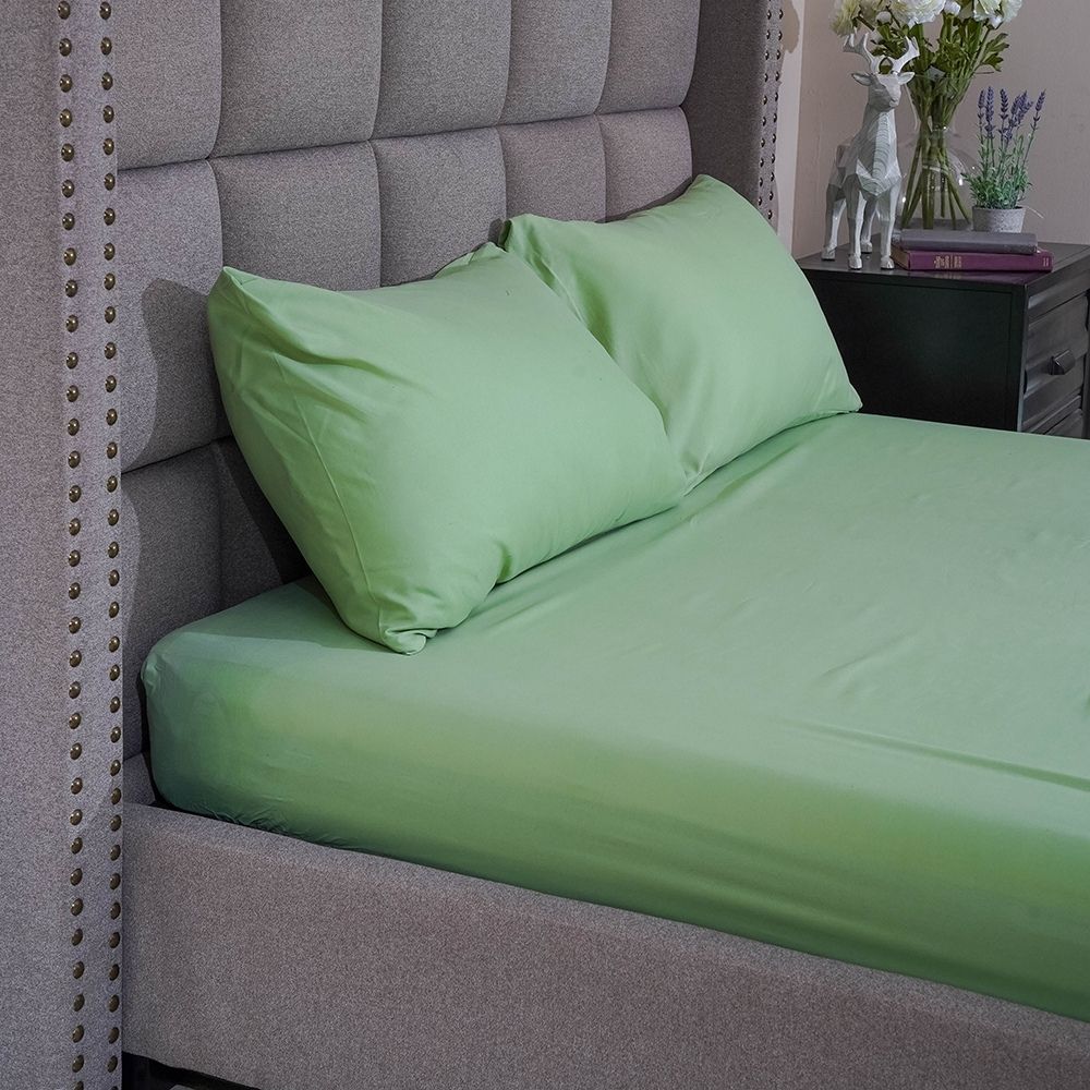 Modern Linens 3pcs Set Bedsheet Microfiber Pistachio With Multiple Size Variations