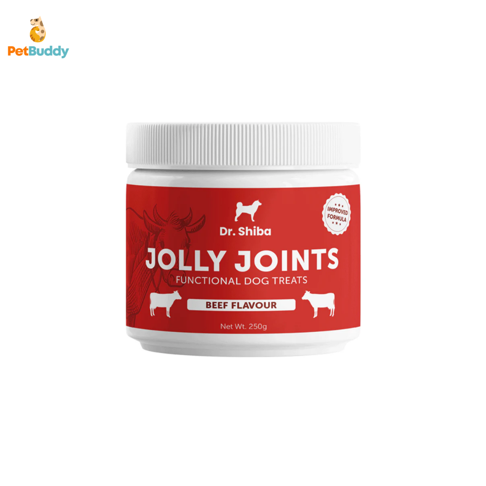 DR.SHIBA Jolly Joints Treats Beef 250g