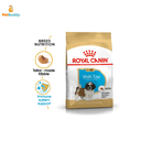 ROYAL CANIN BHN SHIH TZU JUNIOR DOG FOOD