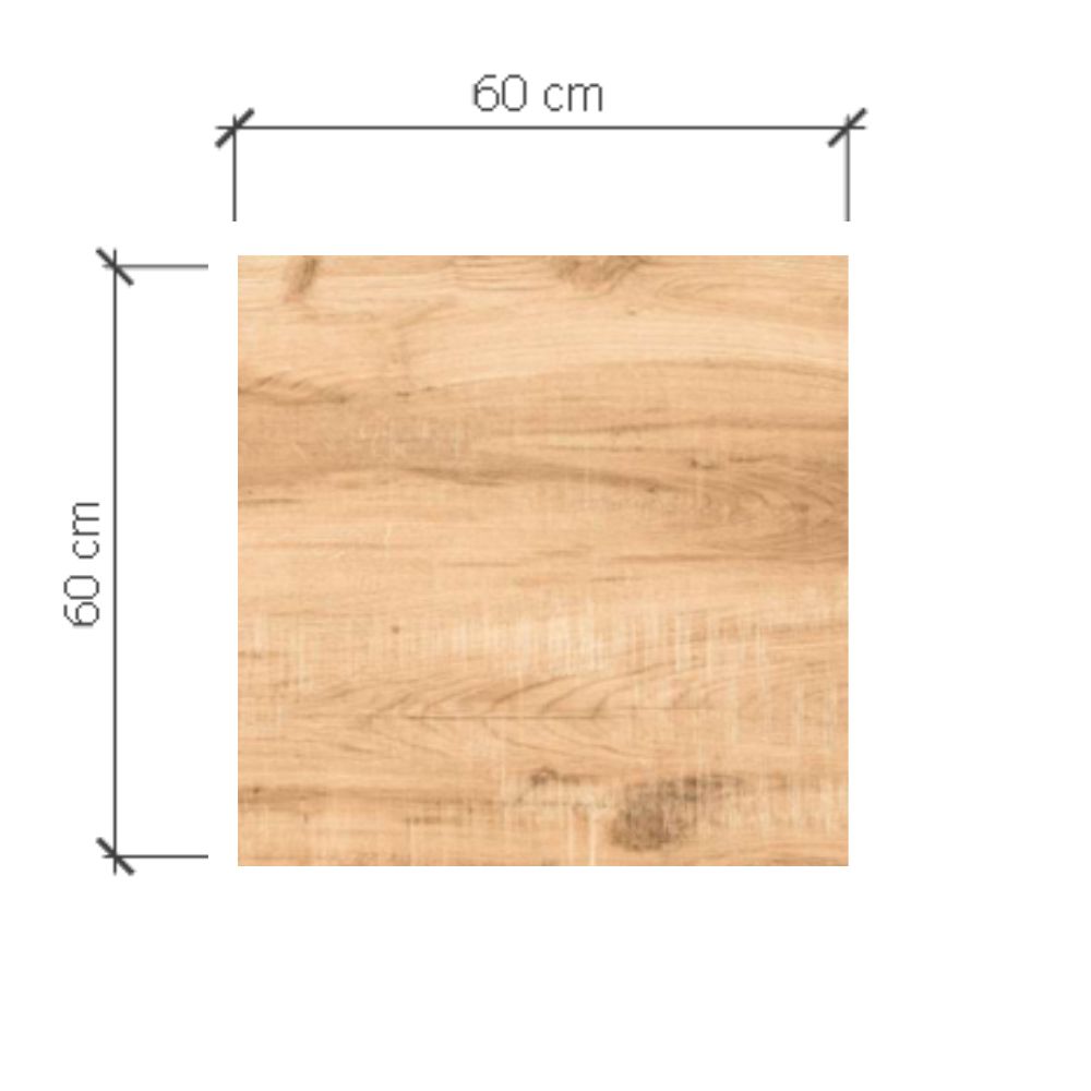 ROSSIO WSP 60X60 4048 ALPINE BROWN