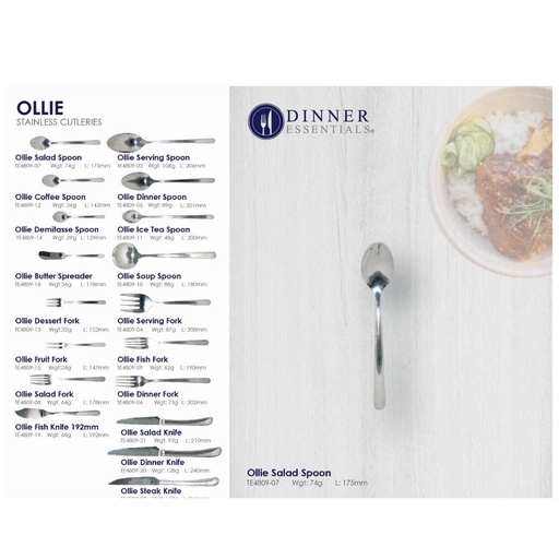 Dinner Essential Ollie salad spoon 175mm
