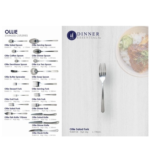 Dinner Essential Ollie salad fork 178mm