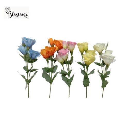 54cm Platy codon Spray