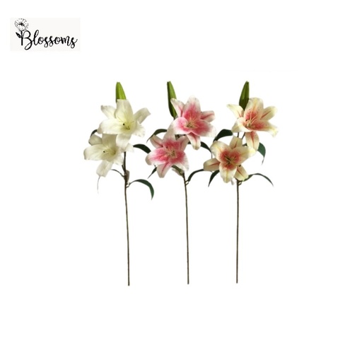 91cm Stargazer Flower 34S119035
