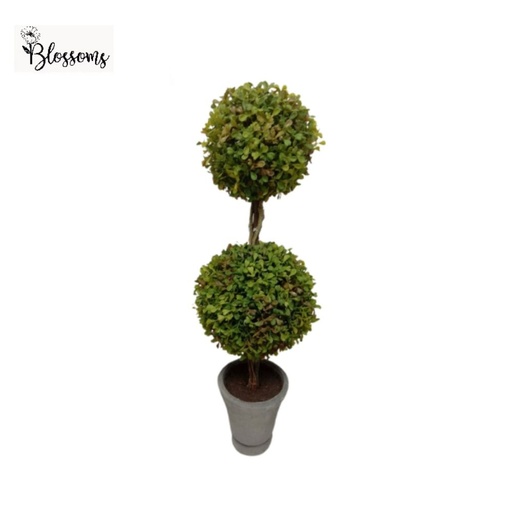 50cm Potted 2 Ball Topiary Plant