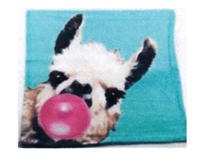 S559-B-LN809 18X18 GR LLAMA W/BBBL TPC