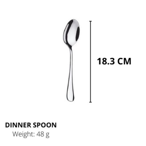 Lianyu Stainless Steel Spoons, Durable Metal Spoons,Dinnerspoon,Silverware Spoon 18.3CM