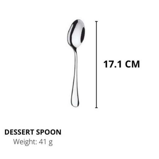 Lianyu Stainless Steel Spoons, Durable Metal Spoons,Dessertspoon,Silverware Spoon 17.1CM